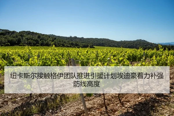 纽卡斯尔接触格伊团队推进引援计划埃迪豪着力补强防线高度